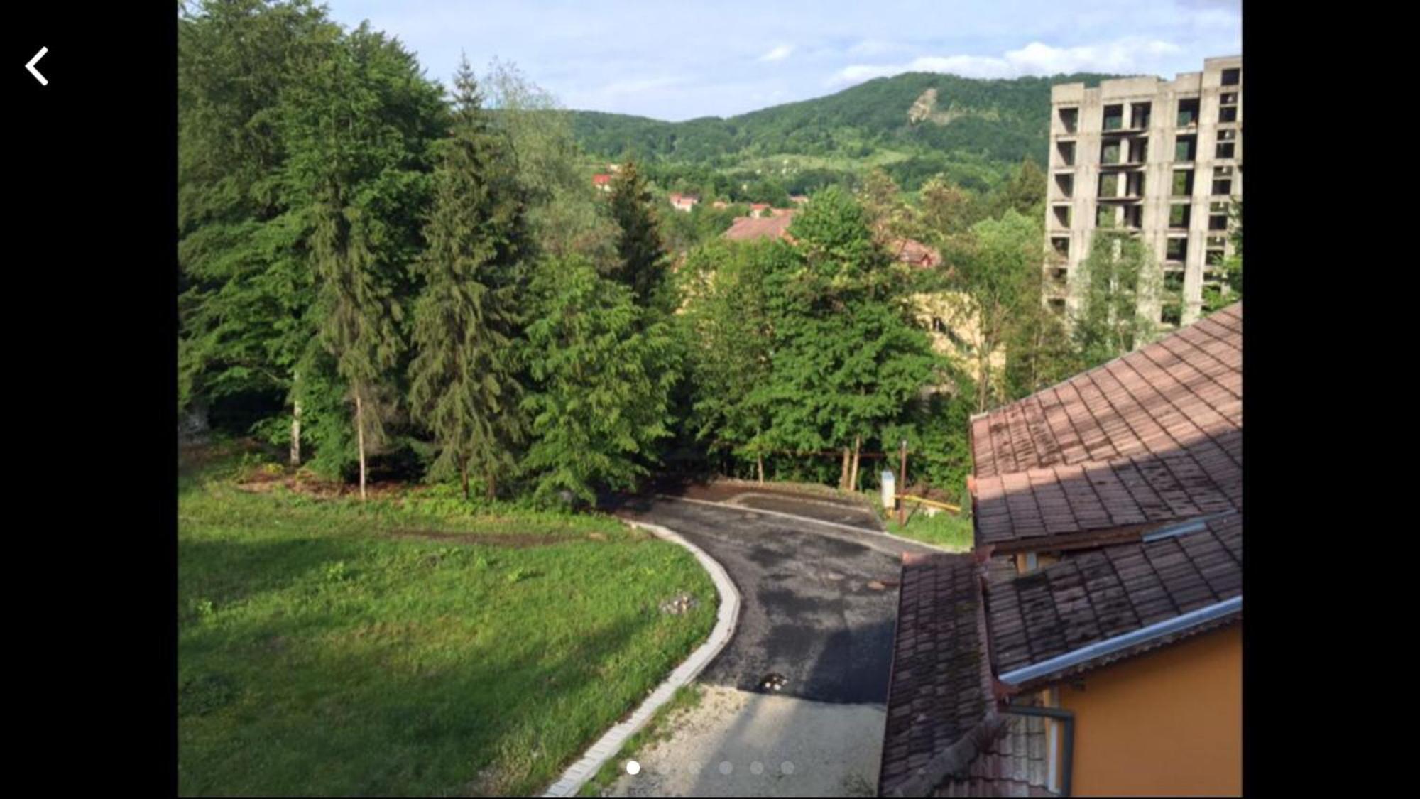 Hotel Trei Brazi ไบเลโอเลอเนชต์ ห้อง รูปภาพ